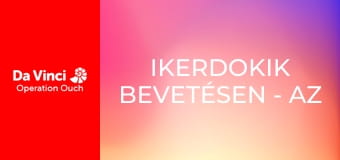 Ikerdokik bevetésen - Az állkapocs ereje és gyomortelítő gondolatok Ikerdokik bevetésen - Az állkapocs ereje és gyomortelítő gondolatok