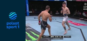 MMA: UFC Fight Night