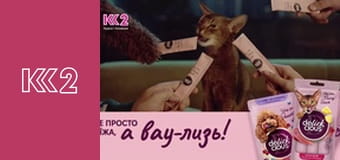 Сімейний суд E128 - Сімейне шоу