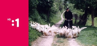 Don Matteo S10E17 - Priateľ z minulosti 1. časť