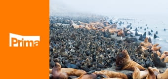 Zázračná Asie E3 - Mrazivý sever