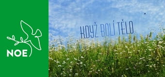 Když bolí tělo - Diabetologie