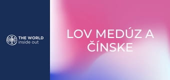Lov medúz a čínske recepty na ich prípravu. Čína. Lov medúz a čínske recepty na ich prípravu. Čína.
