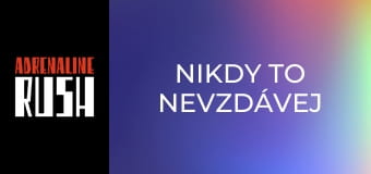 Nikdy to nevzdávej Nikdy to nevzdávej