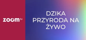 Dzika przyroda na żywo S1E2
