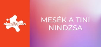 Mesék a tini nindzsa teknőcökről S1E10 - Donnie mélyre megy Mesék a tini nindzsa teknőcökről S1E10 - Donnie mélyre megy