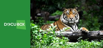 Wyścig o życie S1E5 - Urodzeni wojownicy