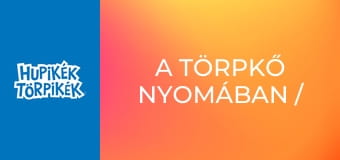 A törpkő nyomában / Törpföldön