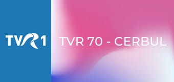 TVR 70 - Cerbul de Aur – Best of (Folclor)