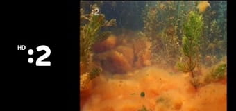 Poklady Slovenska E4 - 2634 metrov nad morom