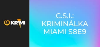 C.S.I.: Kriminálka Miami S8E9 - Vražedná veta