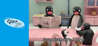 Pingu w miescie Sezon 2 Odcinek 3