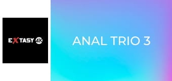 Anal Trio 3