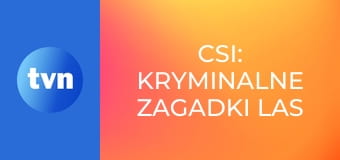 CSI: Kryminalne zagadki Las Vegas S12E14 - Krwawa wizja