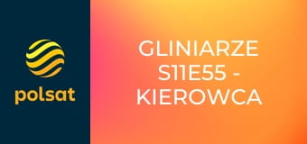 Gliniarze S11E55 - Kierowca z Bombaju