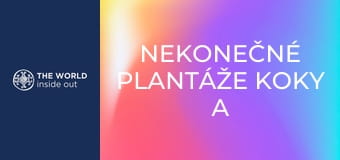 Nekonečné plantáže koky a opekané morské prasiatko na špíze. Bolívia.