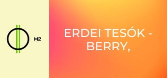 Erdei tesók - Berry, a szeszélyes hercegnő
