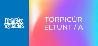 Törpicúr eltünt / A legkisebb boszorkány