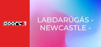 Labdarúgás - Newcastle - Barcelona