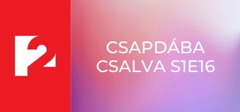Csapdába csalva S1E16