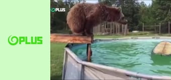 Najlepšie virálne videá S1E15