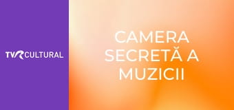 Camera secretă a muzicii