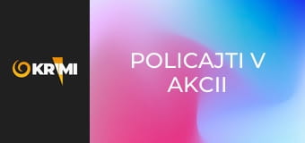 Policajti v akcii