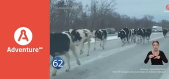 77 TV E7 - Teorie spiskowe