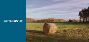 Polska w 4K