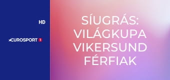 Síugrás: Világkupa Vikersund férfiak - HS240