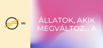 Állatok, akik megváltoztatták a történelmet E4 - Társaink