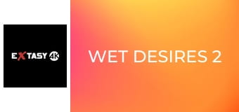 Wet Desires 2