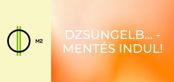 Dzsungelbanda - Mentés indul! - Mini banda a Bolond kútban