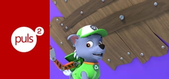 Psi patrol S8E818 - Rycerskie pieski. Tajemnica smoczego zęba