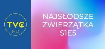 Najsłodsze zwierzątka S1E5