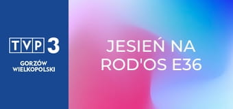 Jesień na ROD'os E36