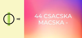 44 csacska macska - Sárkányeregető verseny