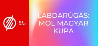 Labdarúgás: MOL Magyar Kupa - ETO FC – Kecskeméti TE negyeddöntő mérkőzés