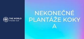 Nekonečné plantáže koky a opekané morské prasiatko na špíze. Bolívia.