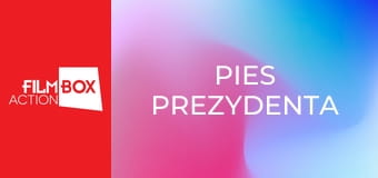 Pies prezydenta