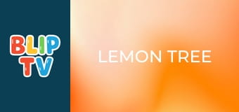 Lemon Tree Lemon Tree