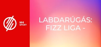 Labdarúgás: Fizz Liga - MTK Budapest – Paksi FC mérkőzés