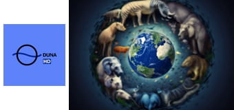 Így készült a Bolygónk, a Föld