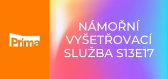 Námořní vyšetřovací služba S13E17 - Po práci