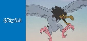 Изворът на младостта / Дива муха от джунглата