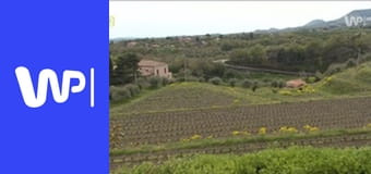 Makłowicz w podróży E26 - Sycylia – pod Etną