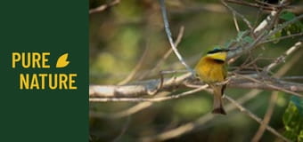 Удивителни африкански птици, част 2