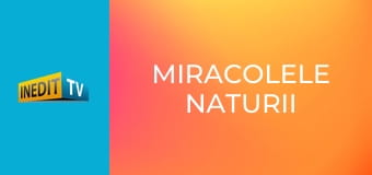 Miracolele naturii