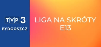 Liga na skróty E13