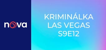Kriminálka Las Vegas S9E12 - Odzbrojený a nebezpečný